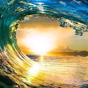 Meet your Posher, Mackenzie